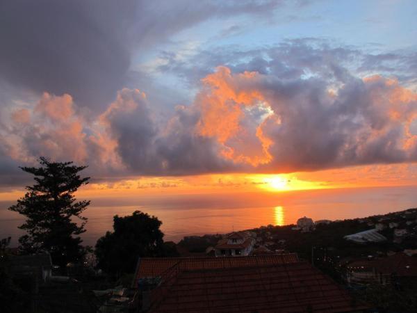 Villa Madeira House à Calheta  Chambre photo